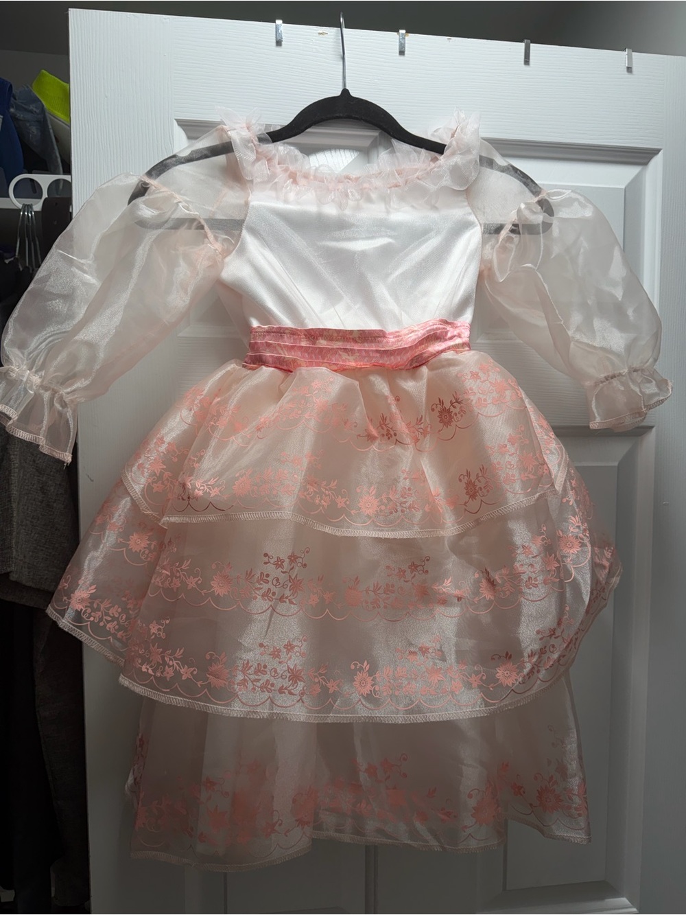 Disney Pink and White Floral Organza Princess Costume Dress